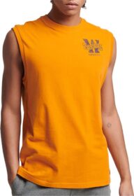Superdry Vintage Collegiate Short Sleeve T-shirt Oranssi S Mies