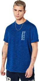 Superdry Vintage Tangled Uib Ind T-shirt Sininen M Mies