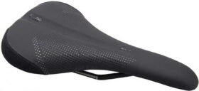 Wtb Sl8 Titanium Satula