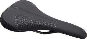 Wtb Sl8 Titanium Satula
